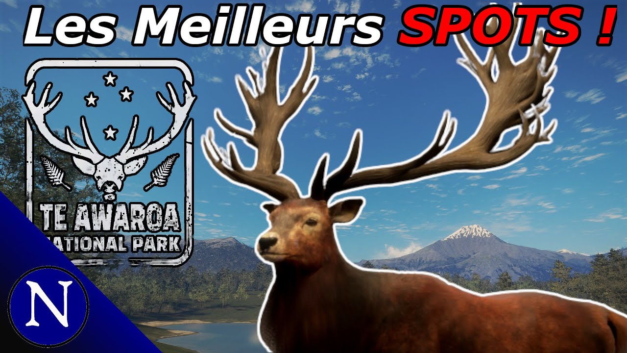 The Hunter COTW : Les meilleurs SPOTS à Yann du cerf Elaphe sur Te Awaroa !