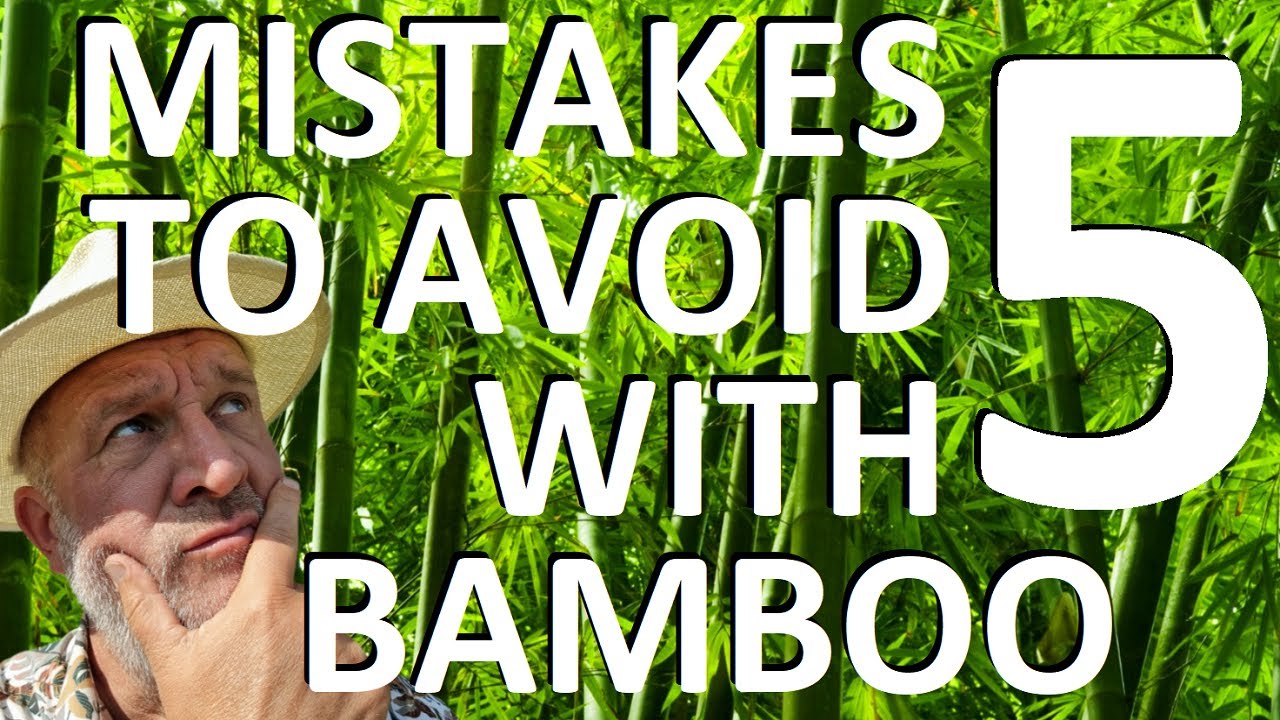Tropical Gardens UK: Five Mistakes to Avoid Growing Bamboo