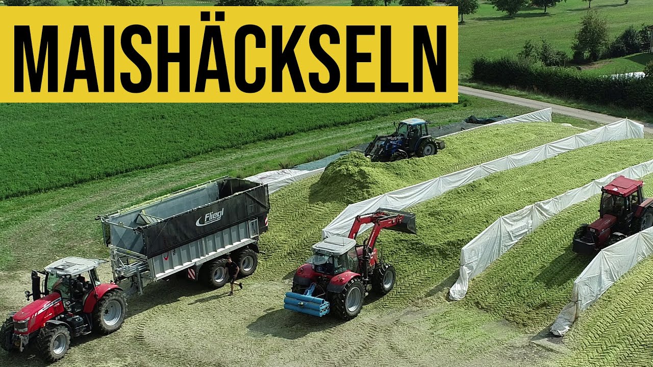 Maishäckseln im Seenland | 5 Traktoren & 4 Silos zeitgleich | MF, John Deere, Fliegl, Brantner