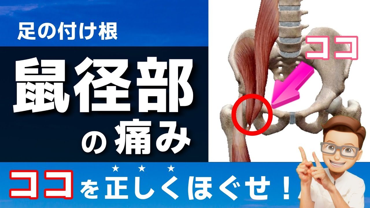 【鼠径部の痛み 治し方】鼠径部痛を正しく治すほぐし方（大腿直筋・腸腰筋編）