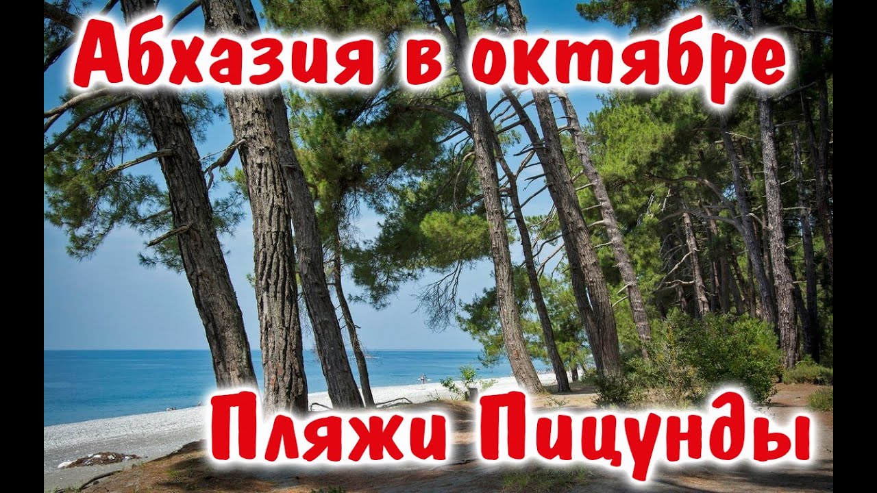Абхазия в октябре. Где лучше отдохнуть в Пицунде? Пляжи и цены. Пос.Рыбзавод.Бесплатные фрукты.