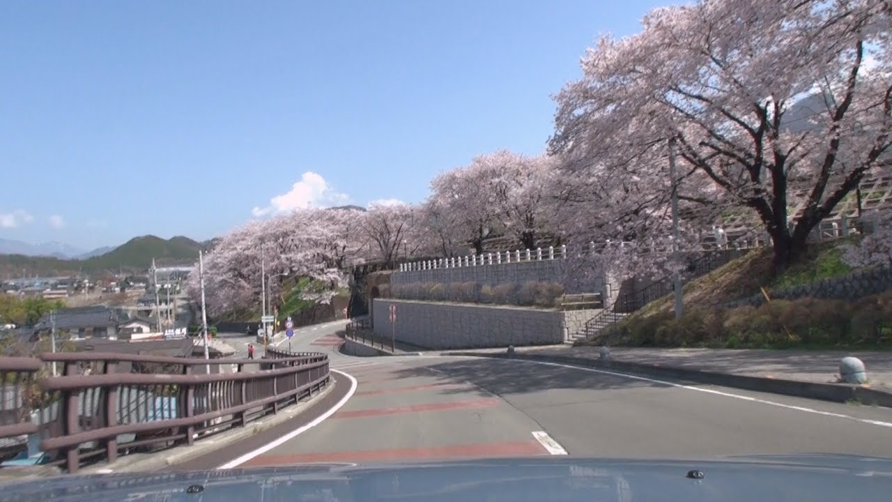 山梨県道38号 塩山勝沼線 車載動画 【甚六桜と桃の花】