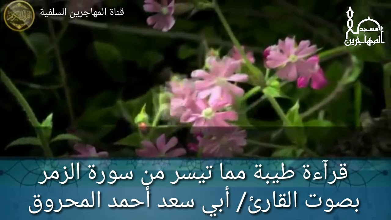 قرآءة طيبة مما تيسر من سورة الزمر بصوت القارئ/ أبي سعد أحمد المحروق.