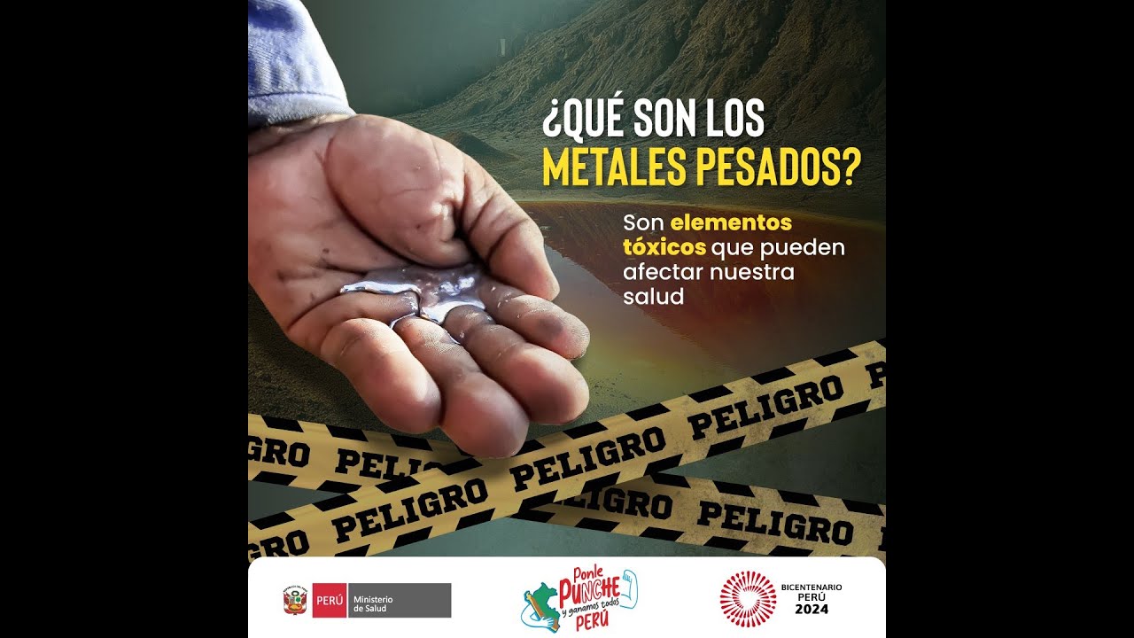 PELIGROS DE LA EXPOSICIÓN DE PLOMO EN NIÑOS y GESTANTES