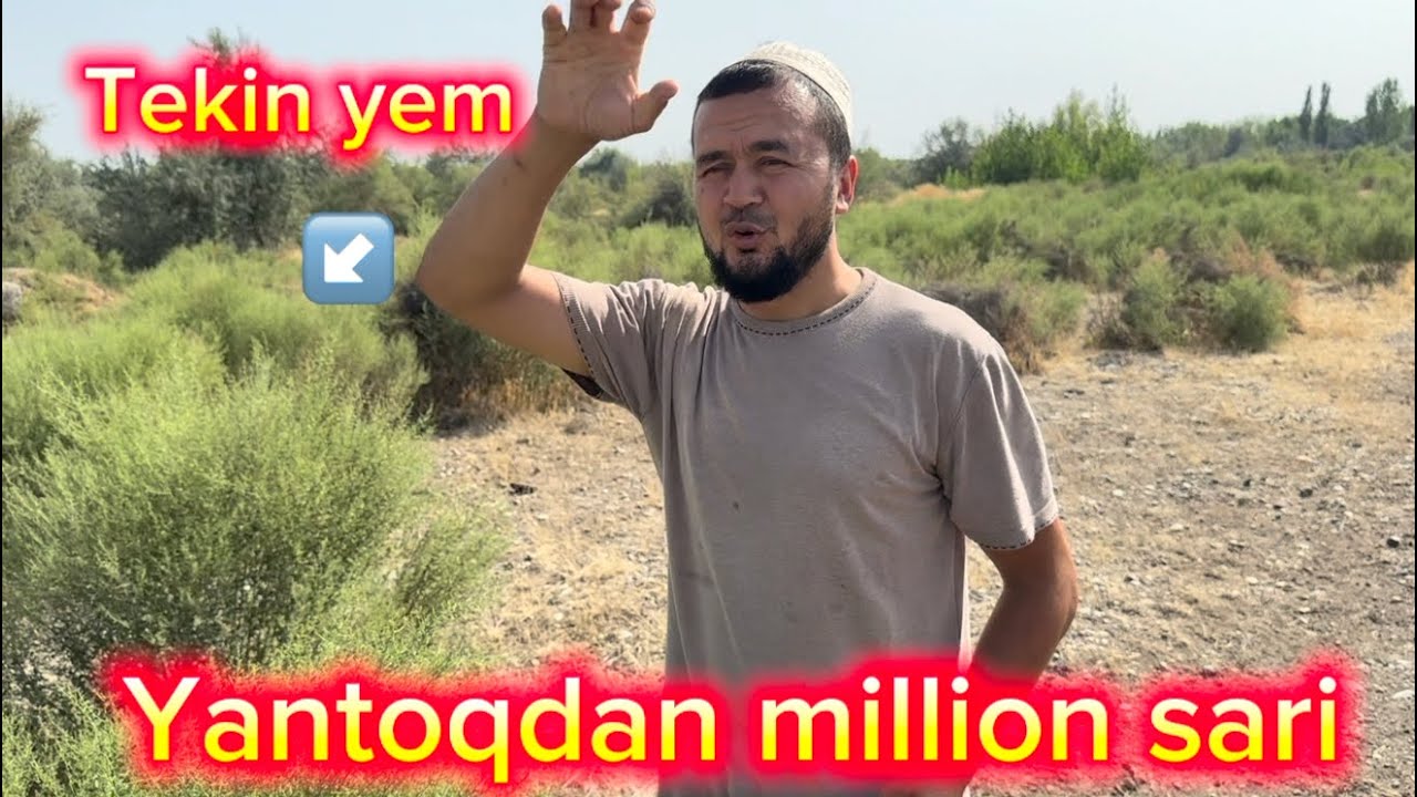 Vodiyda yangilik YANTOQ GRANULA 🤩🤩🤩