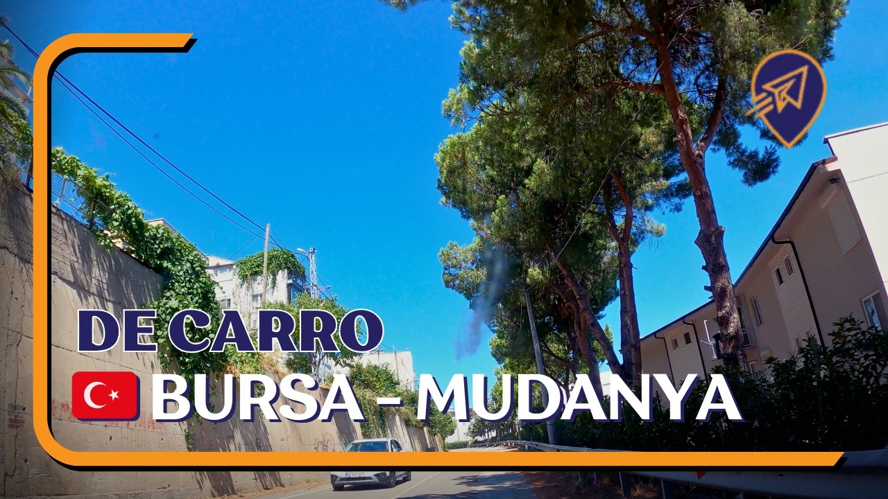🚗 Roadtrip na Turquia de Bursa a Mudanya: Oliveiras, Girassóis e o Mar de Mármara 🌻