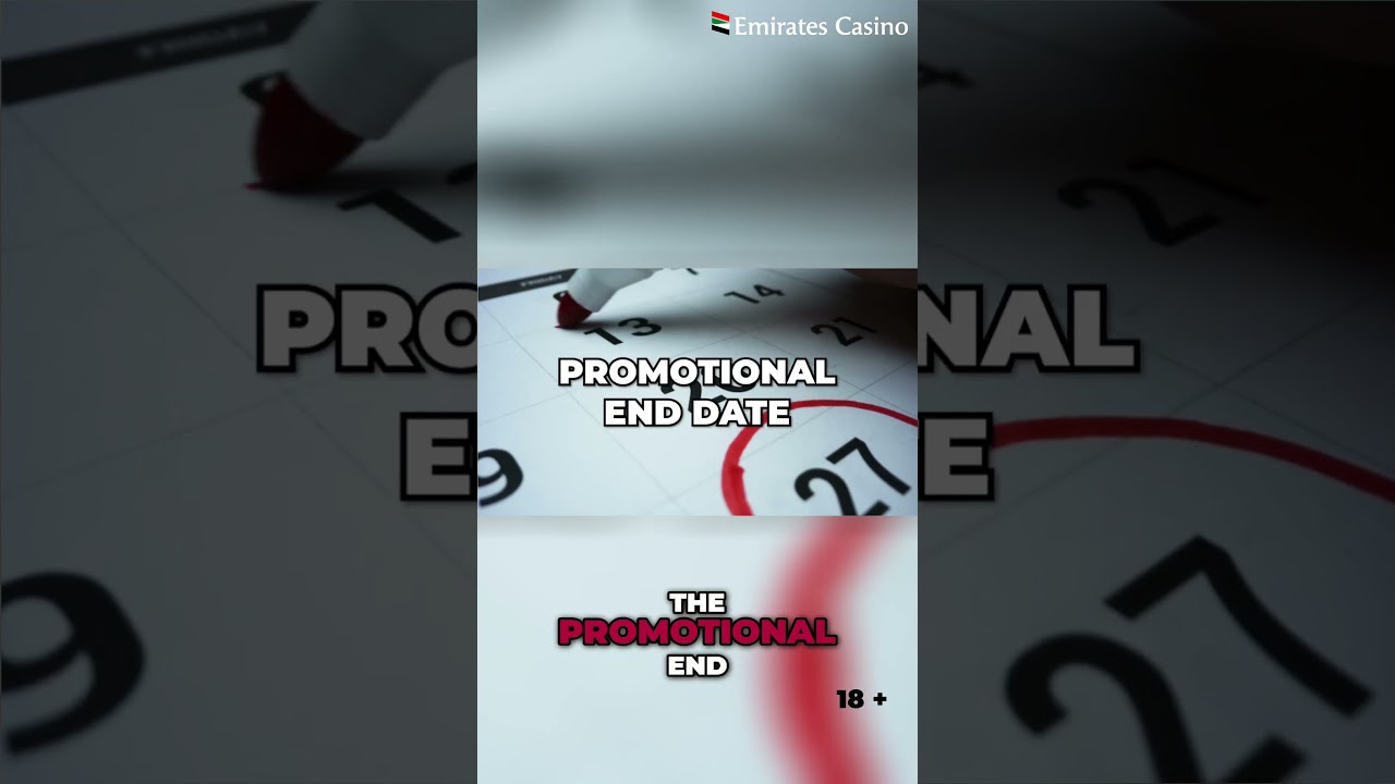 What to Expect in Casino Bonus Terms & Conditions 📜🎰