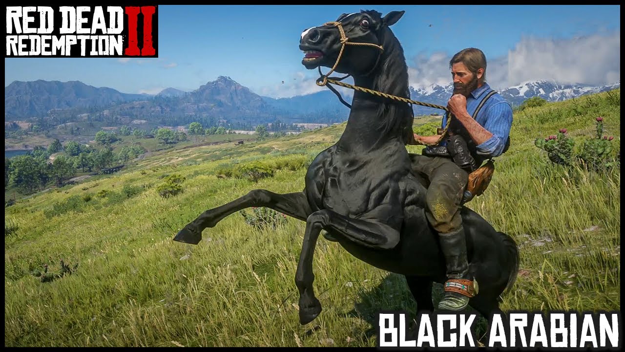 ЧЁРНЫЙ АРАВИЙЦ - Сюжетный режим Red Dead Redemption 2