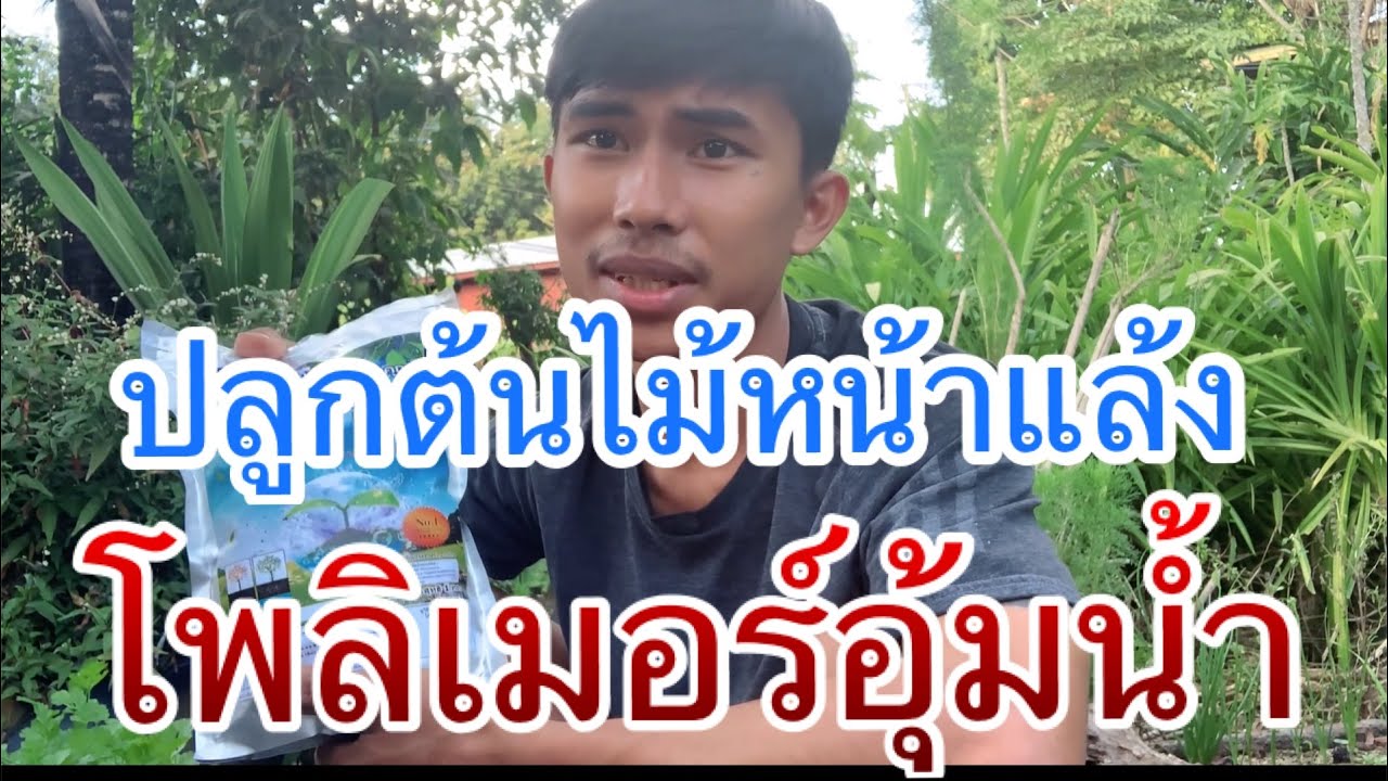 ปลูกต้นไม้หน้าแล้ง โพลิเมอร์อุ้มน้ำช่วยได้จริงไหม? มาดูกันครับ ปอนด์ #ปลูกป่า