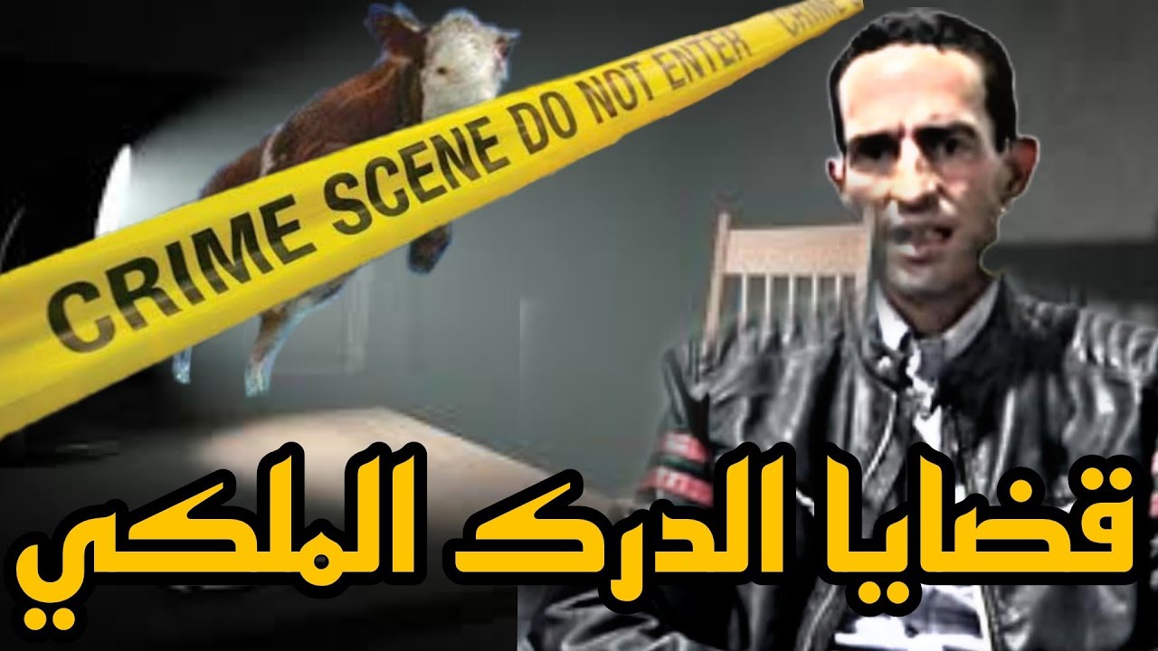قضايا الدرك الملكي: كيفاش طاحوا الفراقشية الشفور لي معاهم بغا يسلت منها .. 