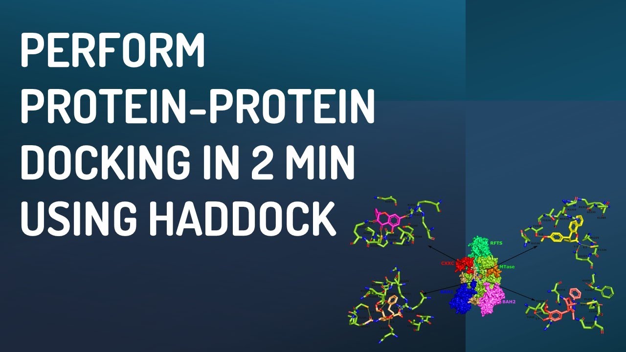 Сопряжение белков с помощью HADDOCK за 2 минуты