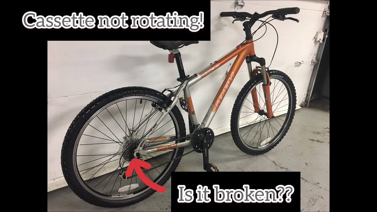 Trek 4300 Build: Part 1, Rear Cassette and axle tear down/re-greasing, By Bucket List Revival