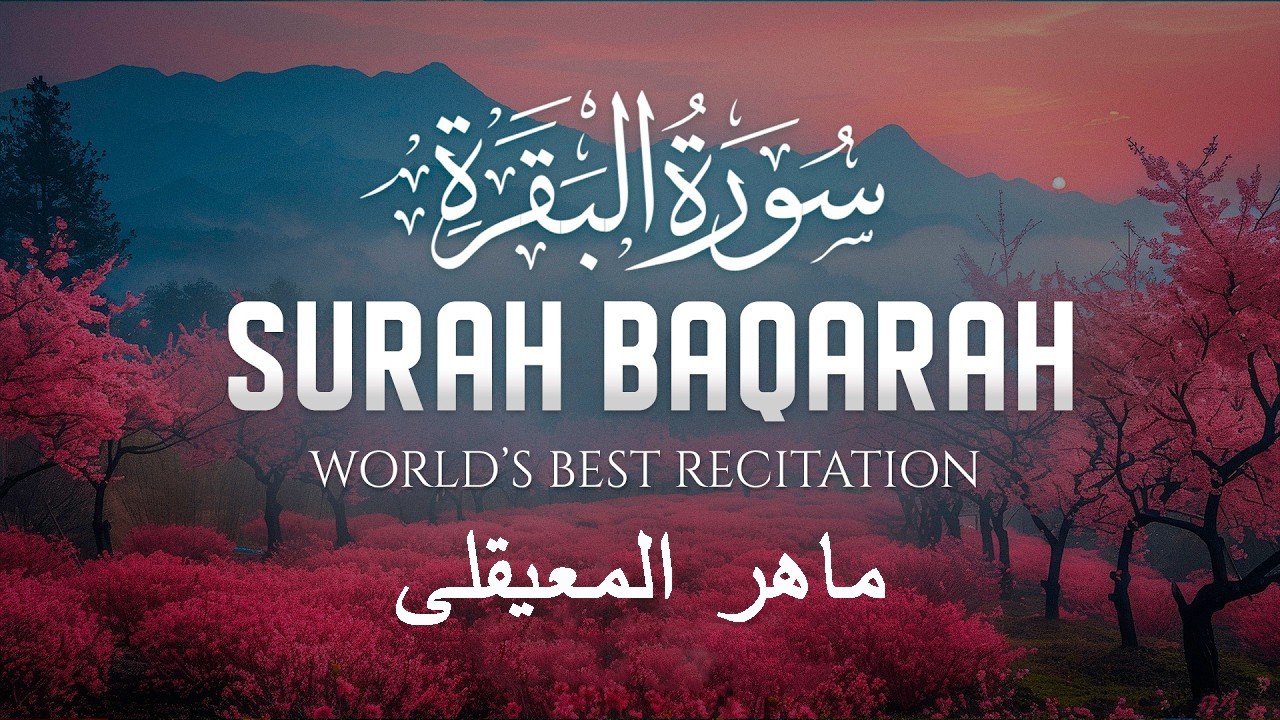 سوره البقرة   كامله بصوت الشيخ ماهر المعيقلي بدون إعلانات