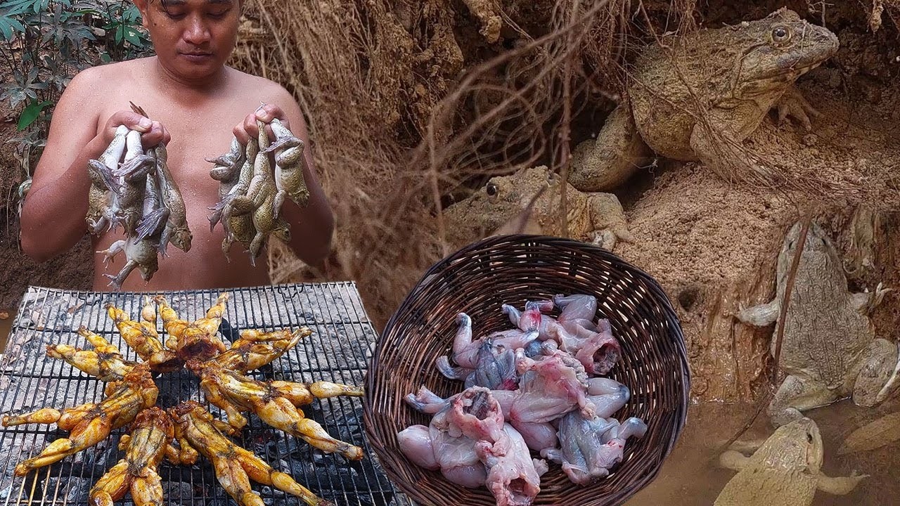 Catch and cook lots of frogs by the river. Marinated frogs on the grilled