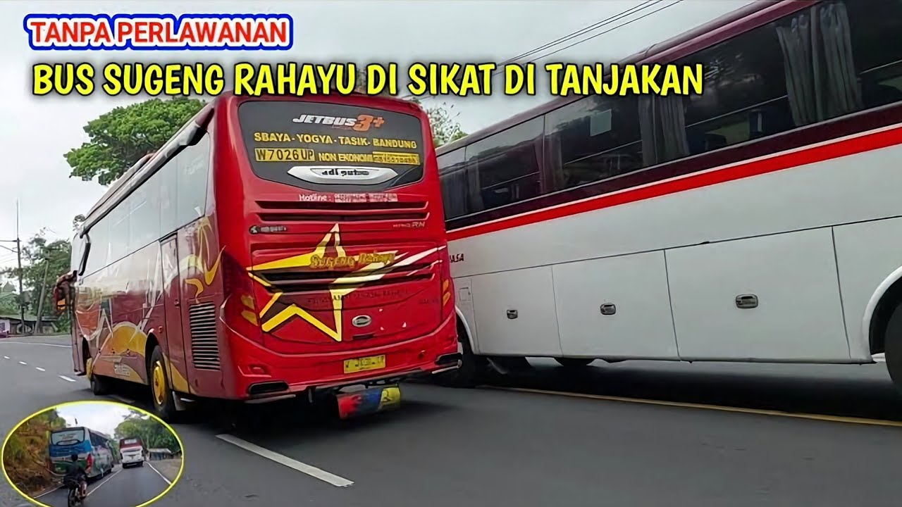 Tanpa perlawanan ‼️bus primajasa sikat bus sugeng rahayu dan budiman di tanjakan