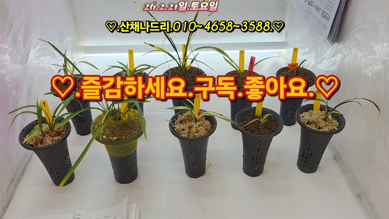 2026년 2월 21일