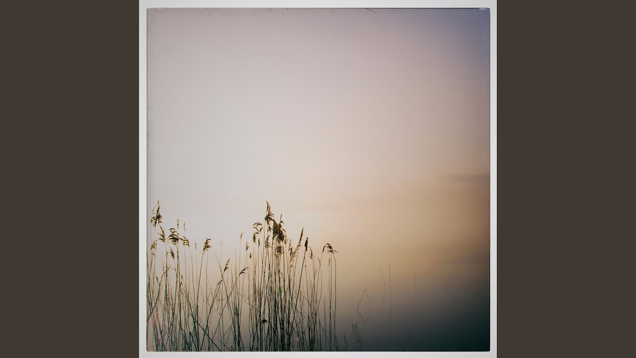 Velvet Nightfall
