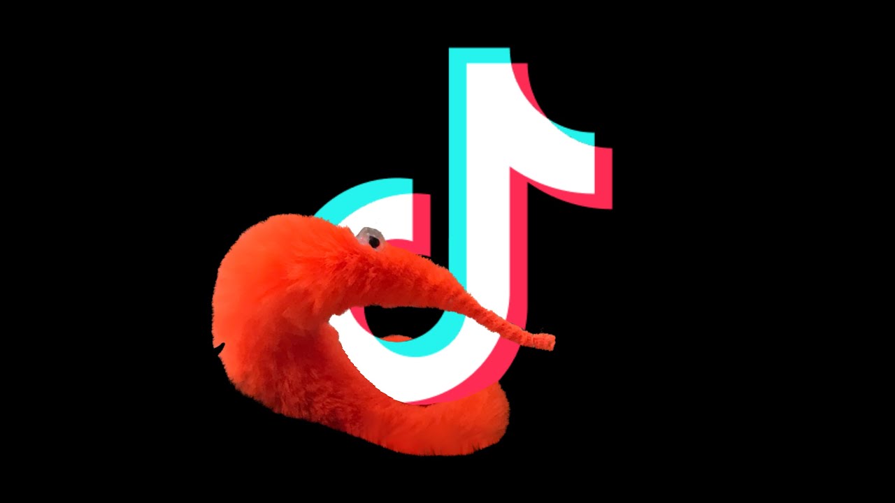 Worm on a string tiktoks that make me wiggle 😏 (part 4)