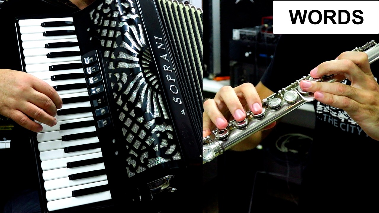 WORDS (DON'T COME EASY) - ACCORDION & FLUTE POPULAR SONGS