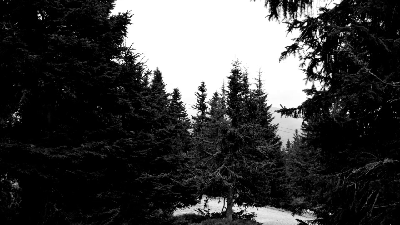 Overlook - Travelling Without Moving