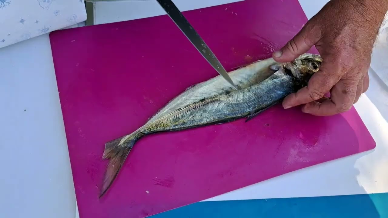Lever des filets de chinchard ou de maquereaux. Ma méthode