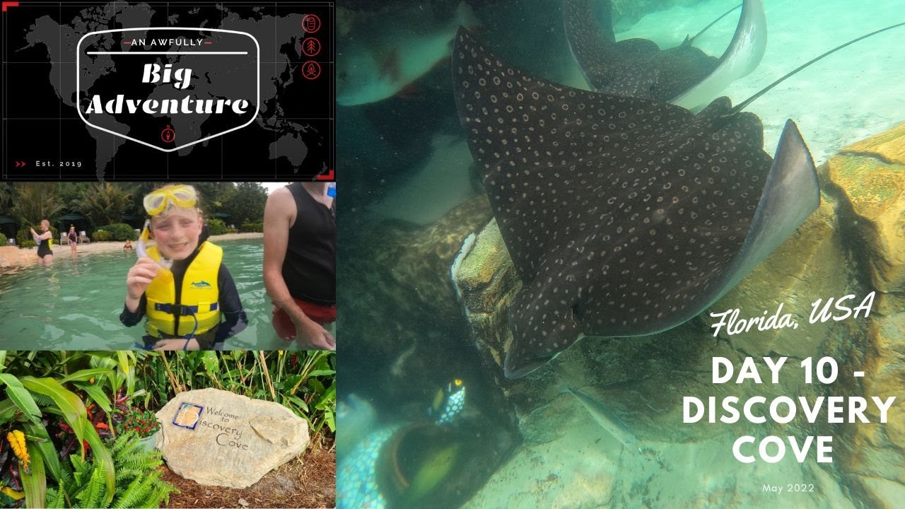 May 22 Day 10 Discovery Cove - Grand Reef Snorkel, 5 minute ASMR underwater video plus Shark Swim.