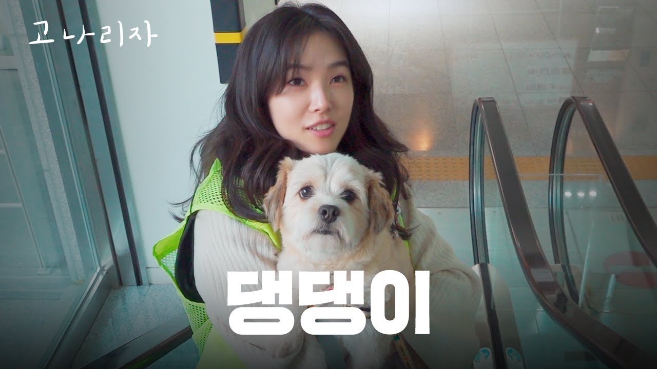 강아지가 강 아나 산책시켰습니다ㅣ고나리자 EP.45