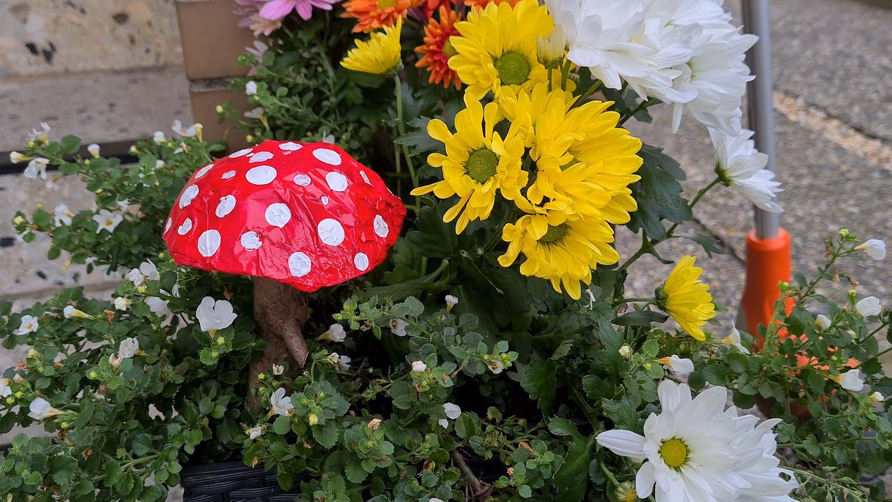 Pilze  schnell selber basteln | Herbstdeko DIY