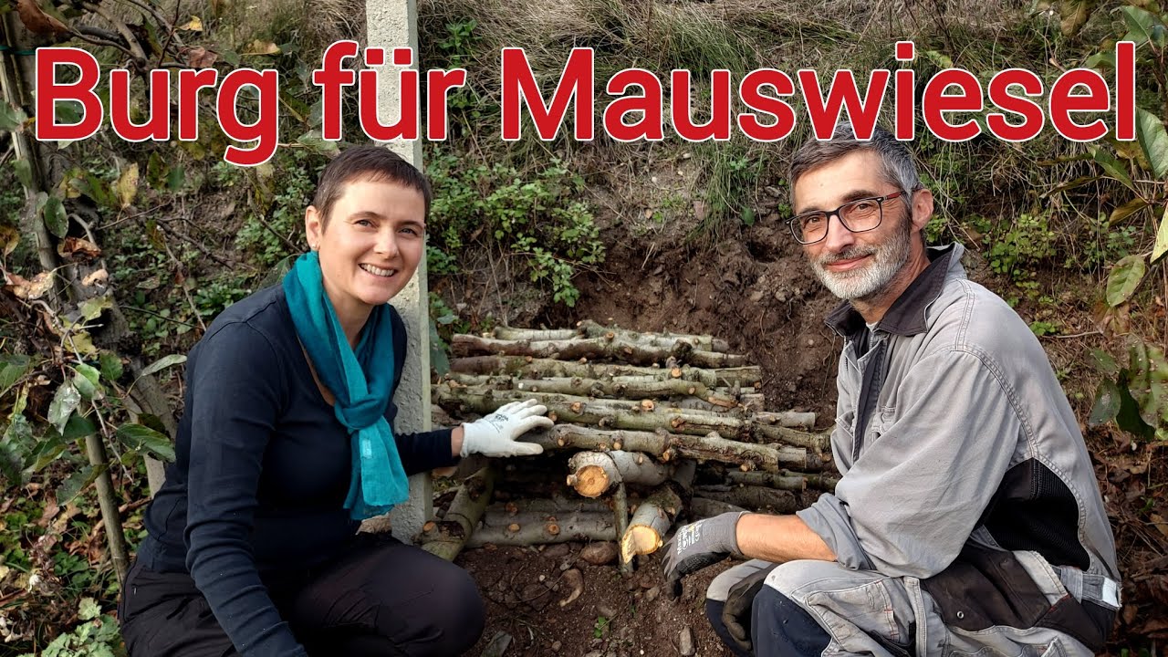 Mäuse auf natürliche Art bekämpfen - ökologische Landwirtschaft | Artenvielfalt fördern