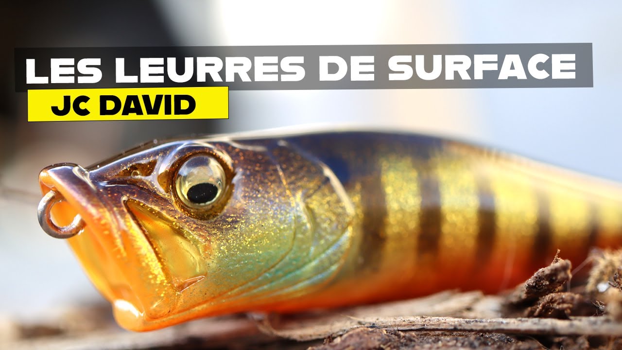 Pêche au leurre de surface : les conseils de JC David pour l'eau douce