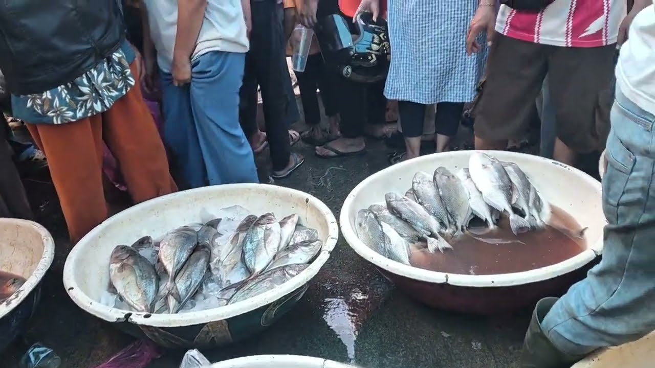 Suasana Pelelangan Rawa Saban Kab Tangerang 