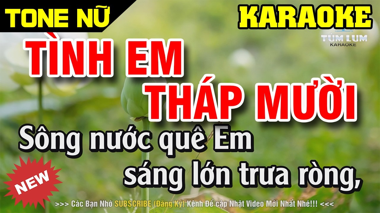 Tình Em Tháp Mười Karaoke Tone Nữ [ Fm ] Nhạc Sống Cha Cha Cha Dễ Hát 2026 | Karaoke Tùm Lum