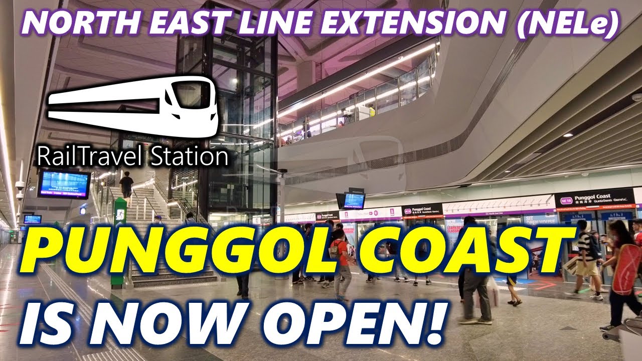 FIRST TRAIN FROM PUNGGOL COAST MRT STATION! 🇸🇬🚆 SBS Transit North East Line Punggol Coast→Punggol