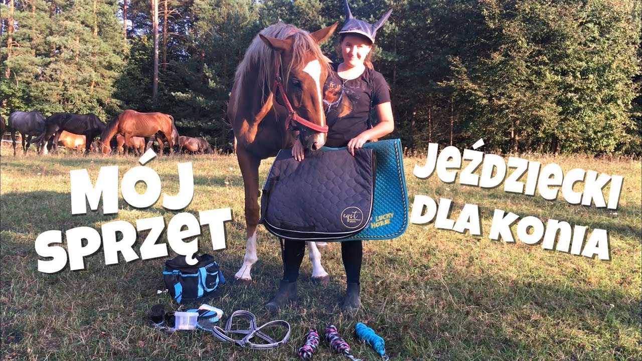 Mój sprzęt jeździecki DLA KONIA