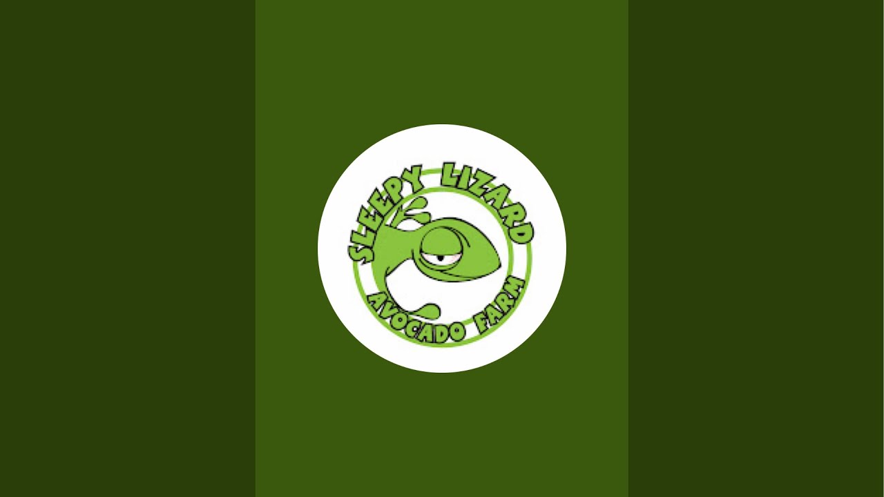 SleepyLizard is live!