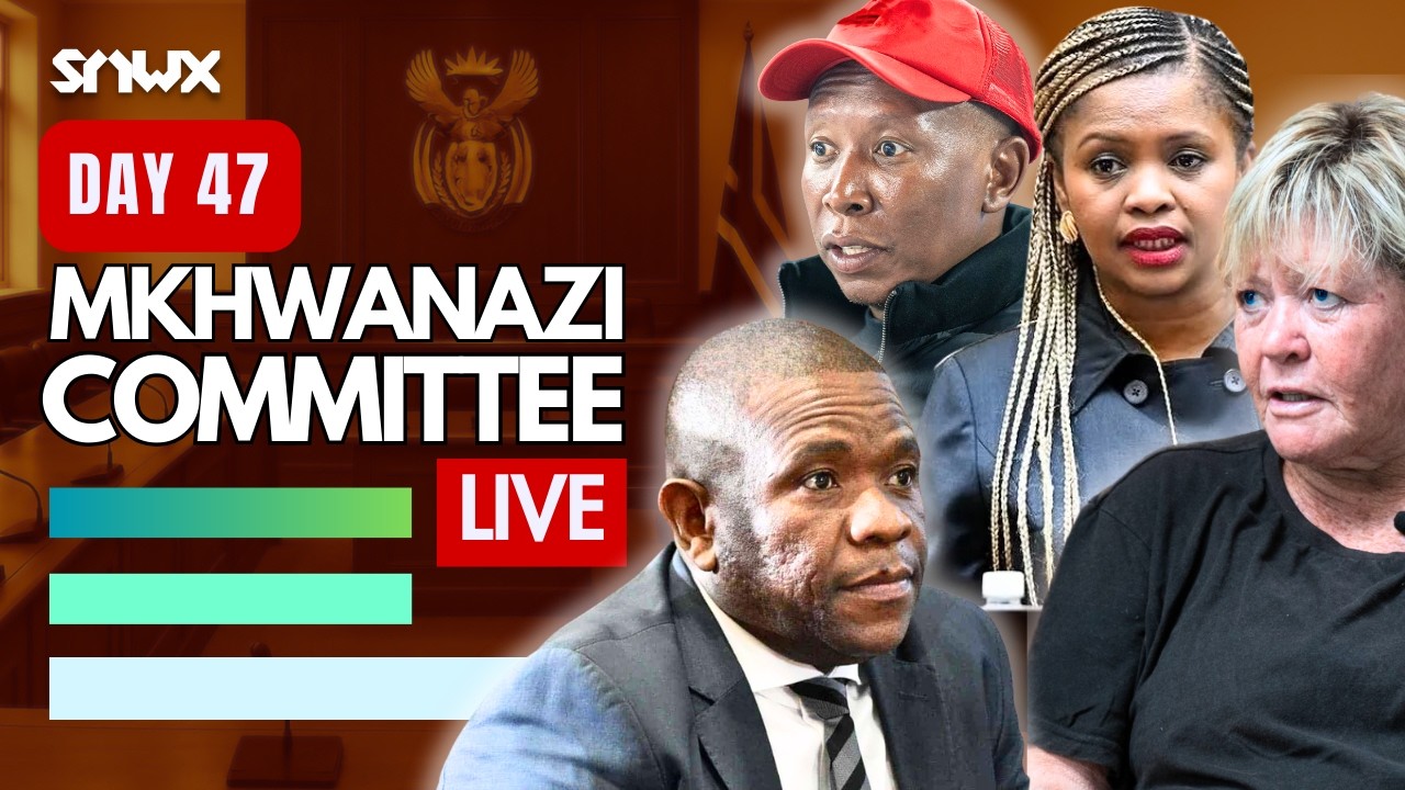 Mkhwanazi Ad Hoc finalises Ramaphosa questions