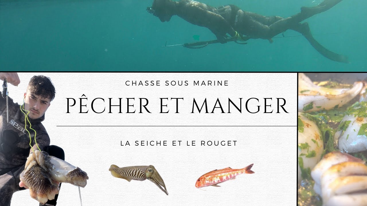 CHASSE SOUS-MARINE en MÉDITERRANÉE - Rougets, Sars, Seiches - CUISINE et RECETTE de SEICHE