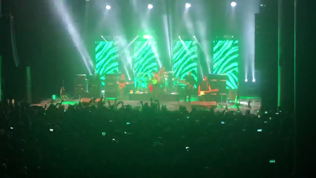 Piero Pelù e Litfiba sul palco insieme a Firenze 22 novembre 2019