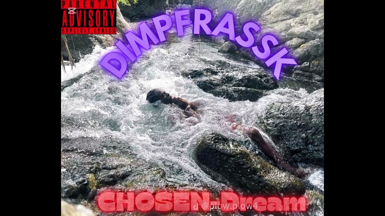 Dimpfrassk- Chosen dreams 