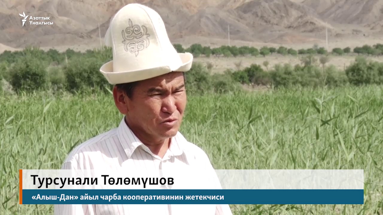 Баткен: өрүктөн ашкабакка өткөн дыйкан