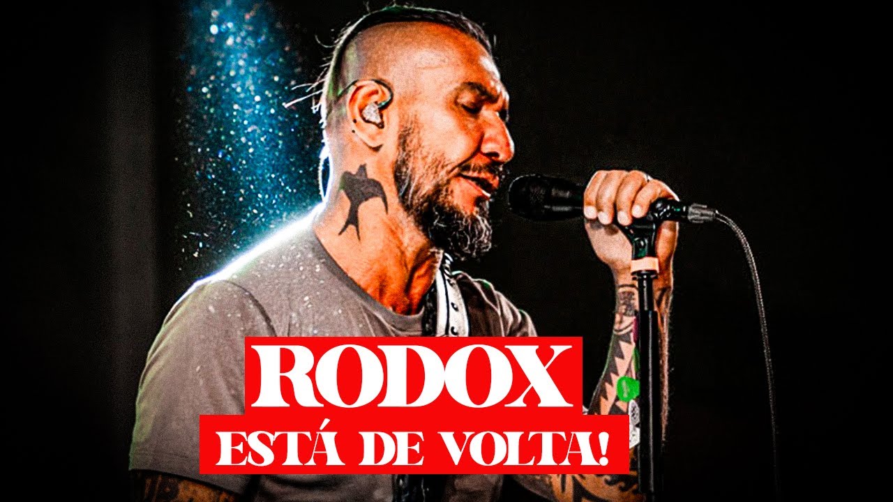 ELES ESTÃO DE VOLTA!