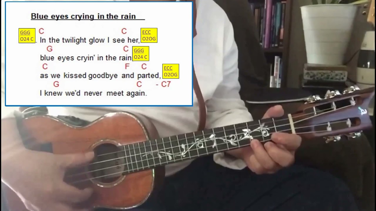Blue eyes crying in the rain complete with riffs by Greg