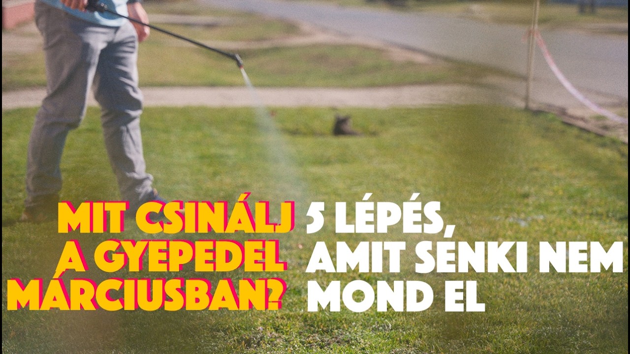 MIT CSINÁLJ A GYEPEDEL MÁRCIUSBAN? – 5 lépés, amit senki nem mond el.