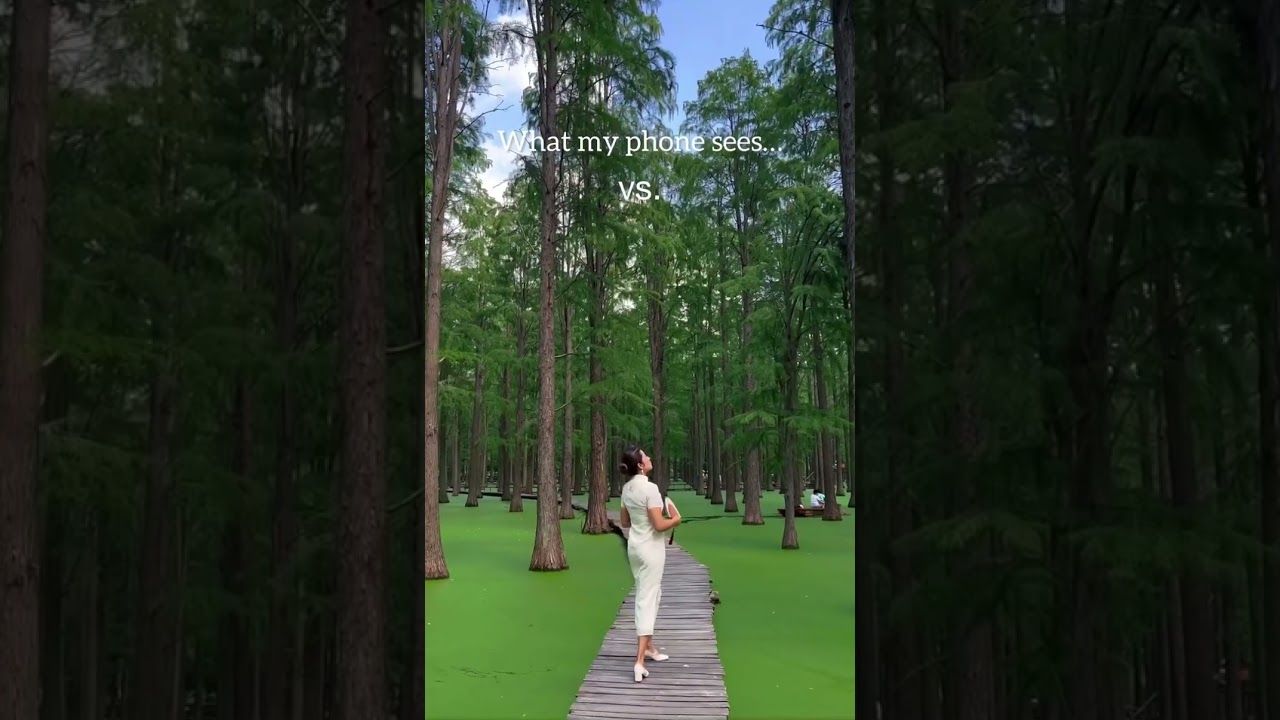 📍渌洋湖湿地公园 Luoyang Wetland Park，扬州 Yangzhou, 江苏 Jiangsu