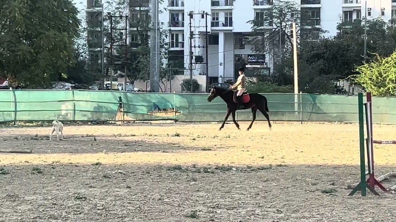 A fast up and down to build stamina 