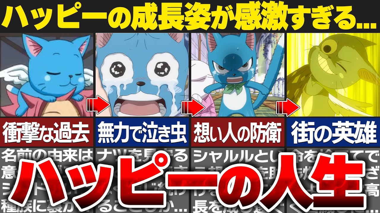 【フェアリーテイル】ハッピーの正体判明！？ハッピーの壮絶な人生がヤバイ…【ゆっくり解説/考察】