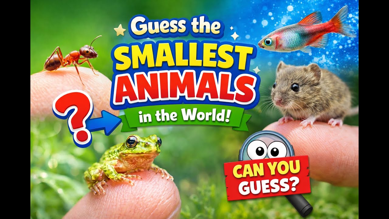 The smallest animals on the planet 🐜🐸| Guess the names of the animals for kids