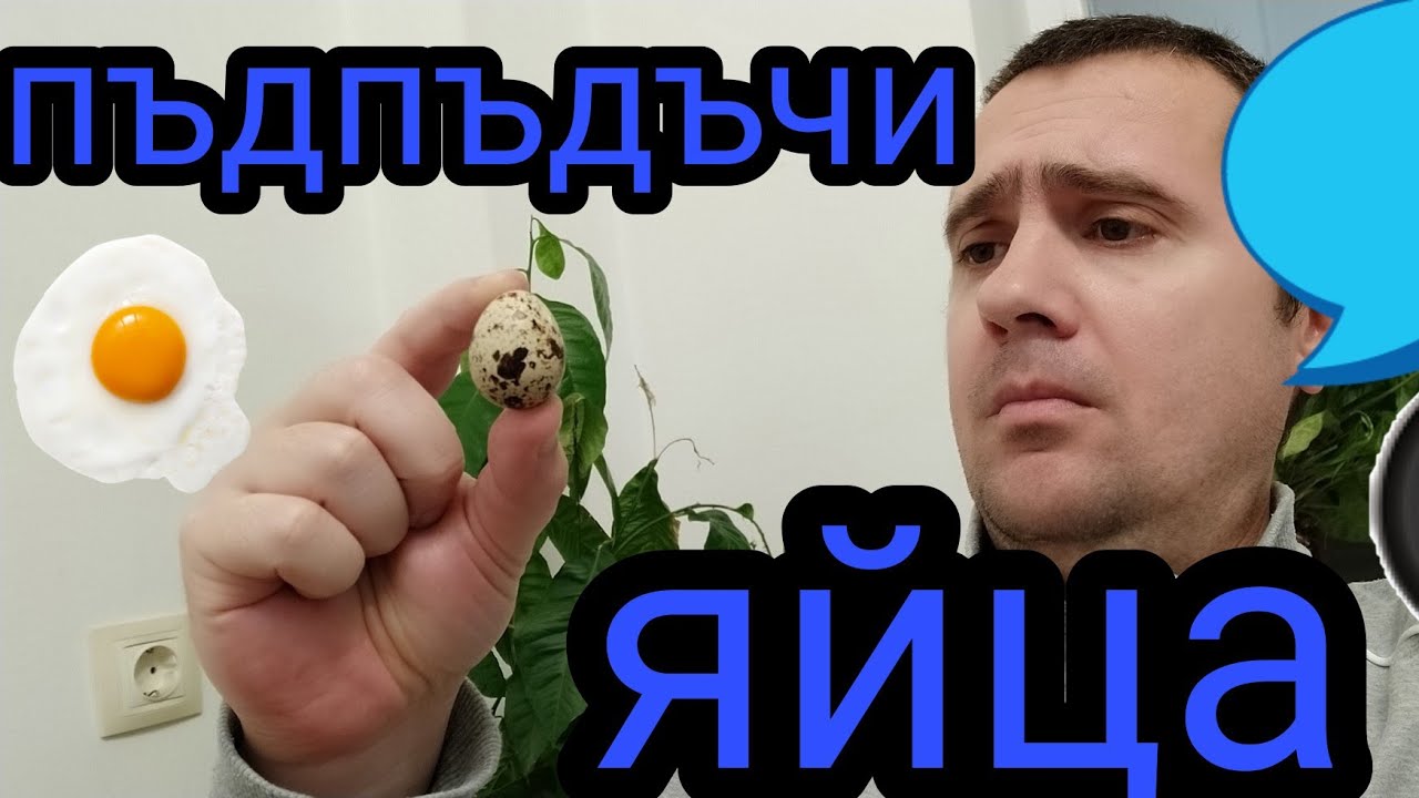 Няколко факта за полезните пъдпъдъчи яйца