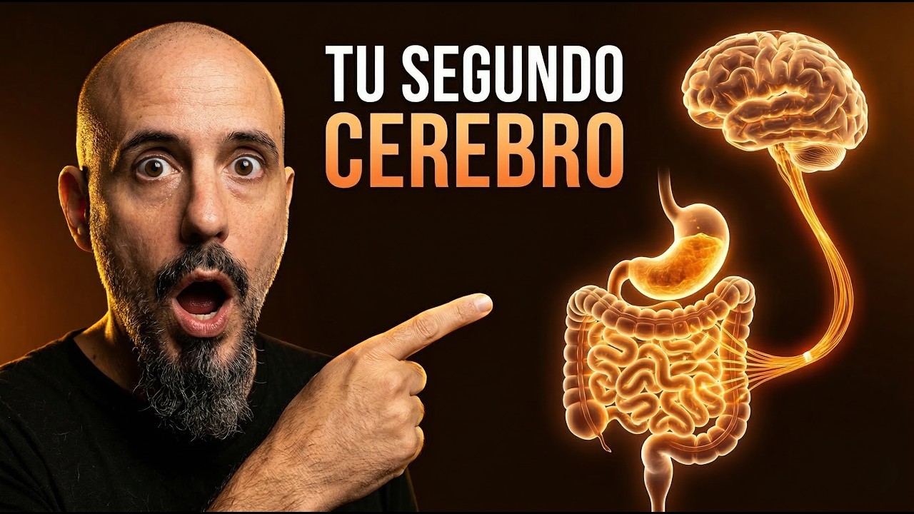 Probióticos: El Abono Neuronal para una CLARIDAD MENTAL Inmediata 🧠