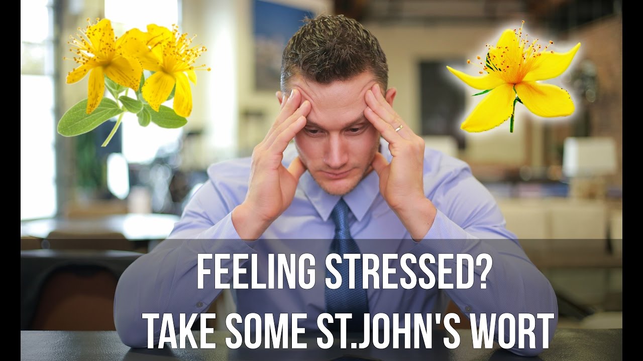 Anxiety Relief: Reduces Stress with St. John's Wort- Thomas DeLauer